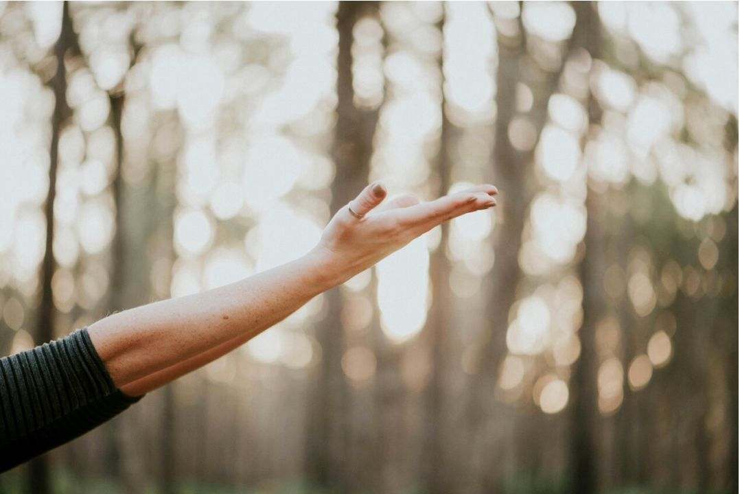 Clase de yoga suave para seniors